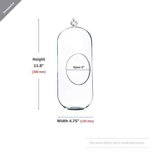 WGV Hanging Glass Plant Terrarium Bulk, Width 5", Height 12", Lantern DIY Air Succulent Planter Clear Tea Light Votive Candle Holder, Wedding Event Office Home Outdoor Decor, 12 Pieces