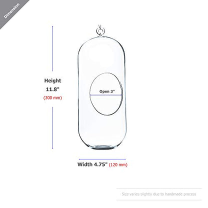 WGV Hanging Glass Plant Terrarium Bulk, Width 5", Height 12", Lantern DIY Air Succulent Planter Clear Tea Light Votive Candle Holder, Wedding Event Office Home Outdoor Decor, 12 Pieces
