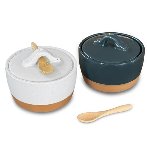 Mora Ceramic Salt and Pepper Cellar Set with Lid - 10 oz Modern Canister/Container/Bowl for Storage, Sea Salt, Spice, Sugar, Countertop - Small Dish/Jar with Wood Spoon, Black & White Crock - color: Charcoal & White