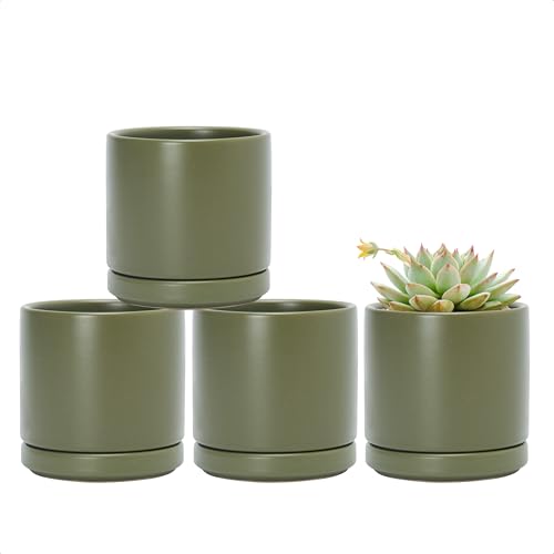 D'vine Dev 4-Pack Ceramic Pots with Saucers, Olive, 3.5 in, 94-X-A-0 | Glazed Ceramic, Drainage Hole and Saucer, Sleek Cylinder Shape, High Temperature Fired, Ideal for Small Houseplants - color: Olive, size: 3.5 Inch