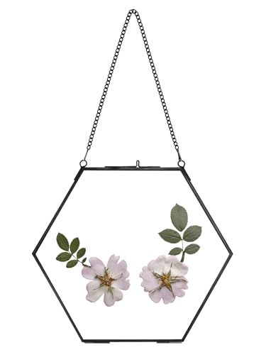 REDHUGO Glass Pressed Flower Frame Handmade, Hexagon, Black | Double Glass, Brass Floating Picture Frames, Wall Hanging Round Picture, for Dried Flowers Home Wall Decor (FRAME ONLY) - color: Black, size: 8L" x 9.4W"