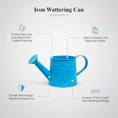 Long Spout Iron Watering Can for Indoor & Outdoor Plants, Durable Metal Design with Precise Flow Control (1 Pack) - color: Blue
