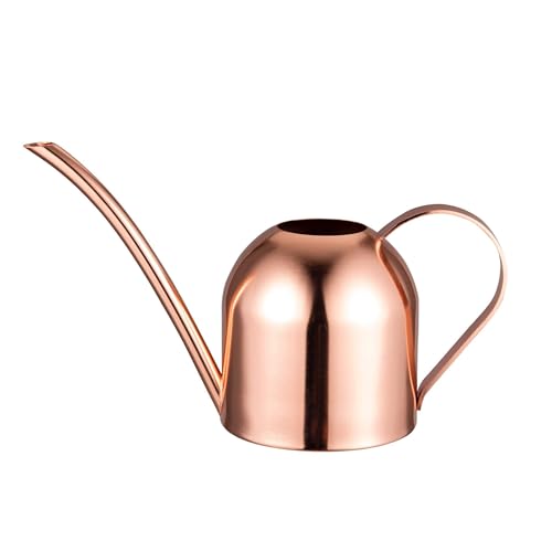 IMEEA Mini Indoor Watering Can for Small Plants, Stainless Steel with Long Spout, 15oz/450ml – Perfect for Desk, Windowsill & Bonsai - color: 15oz (Rose Gold)