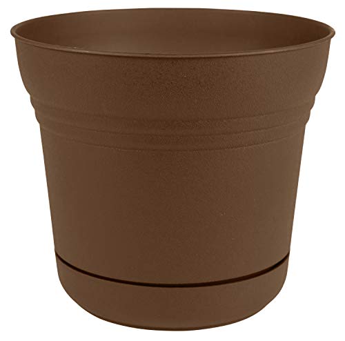 Bloem 010250 Saturn Planter, 5", Chocolate, 5" - color: Chocolate Brown, size: 5"
