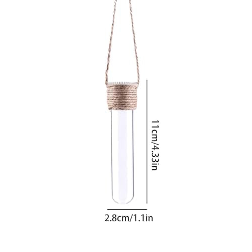 Propagation Tube, with Wall Mounted Design, 4 Piece Glass Plant Tubes | Clear Wall Terrarium, Hydroponic Plant Holder, for Home Décor