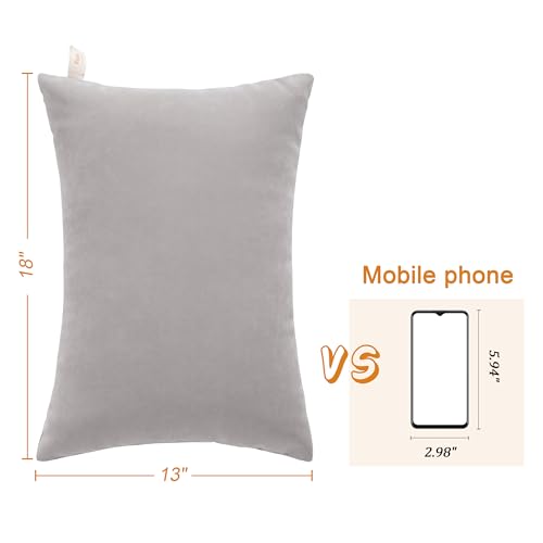 BEDSUM Toddler Pillows 13x18 Microfiber: Travel Inserts, 2 Pack, Light Grey | Soft brushed microfiber, 13x18 size, 2 pillow inserts, machine washable, lightweight for daycare, travel, and home use - color: Light Grey, size: 13x18 inches