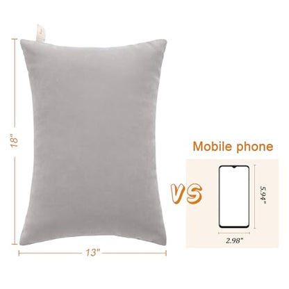 BEDSUM Toddler Pillows 13x18 Microfiber: Travel Inserts, 2 Pack, Light Grey | Soft brushed microfiber, 13x18 size, 2 pillow inserts, machine washable, lightweight for daycare, travel, and home use - color: Light Grey, size: 13x18 inches