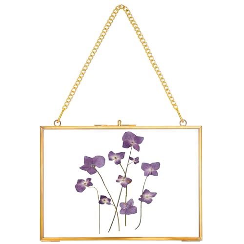 REDHUGO Hanging Pressed Flower Frame Handmade, Gold, 5×7 inches | Double Glass Picture Frame Floater frame Floating Frame for Pressed Flowers Home Wall Artwork, Rectangle Horizontal - color: Gold, size: 7L" x 5W"