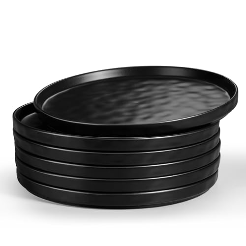 LIANYU Ceramic Dessert Plates Set of 6, 10.2 Inch Dinner Appetizer Plates for Kitchen Dining, Porcelain Round Plate Serving Cake Bread Salad Snack, Microwave & Dishwasher Safe, Obsidian Black - color: Obsidian Black, size: 10.2 Inch for 6