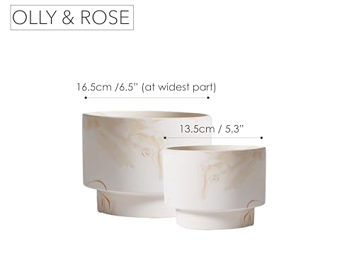 Olly & Rose White with Beige Streaks Ceramic Plant Pot Set 2-16.5,13.5cm Medium Plant Pots Outdoor and Indoor - White Planters - Flower Pots