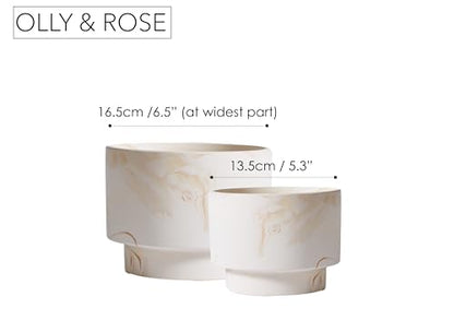 Olly & Rose White with Beige Streaks Ceramic Plant Pot Set 2-16.5,13.5cm Medium Plant Pots Outdoor and Indoor - White Planters - Flower Pots