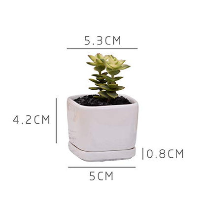 Mini 6 Set of 2x2x1.65inch Square Modern Minimalist White Ceramic Succulent mini Planter Pot/Window Box with Saucer (6, 2inch)