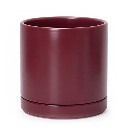 D'vine Dev 10 Inch Ceramic Planter Pot, Cordovan, 94-O-E-4 | Modern Cylinder Design, Drainage Hole & Saucer Included, Stable Structure, Elegant Home Accent - color: Cordovan, size: Large