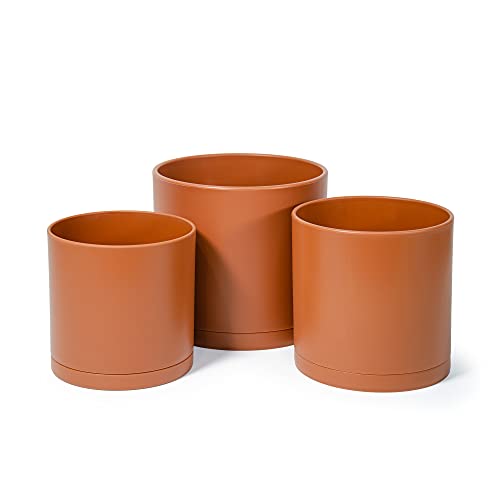 D'vine Dev 3-Pack Plastic Pots & Saucers, 6/6.5/8 in,Terracotta, 74-V-C-3 | Multi-Size Options, Lightweight Durable, Matte Finish, Cylinder Shape, Drainage Holes, Sleek Design, Detachable Saucer - color: Terracotta, size: Medium