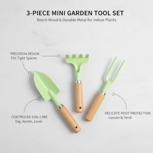 3-Piece Mini Garden Tool Set with Beech Wood Handles and Iron Heads for Indoor Plants, Succulents, and Small Pots - size: 11.02 x 3.15 x 1.18 in