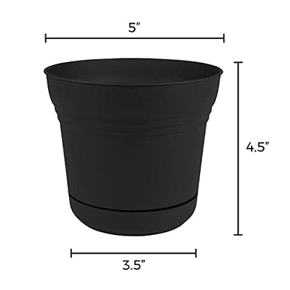 Bloem 010280 Saturn Planter with Saucer, 5", Black (SP0500), 5" - color: Black, size: 5"