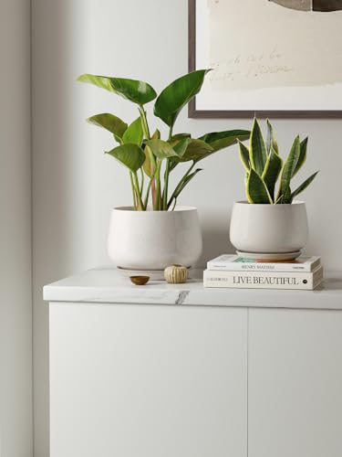 LE TAUCI Plant Pots, 4.1+5.1+6.5 inch, Set of 3, Ceramic Planters with Drainage Hole and Saucer, Indoor Flower Pot with Hole Mesh Pad, Gifts for Mom, Reactive Glaze Beige - color: Reactive Glaze Beige