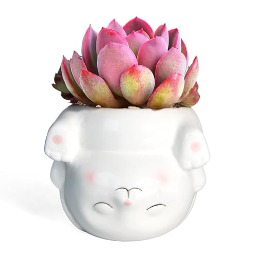 Cute 4.4 Inch Animal Ceramics Planter Succulent Pot with Drainage | Plant Pot for Indoor Mini Plants Flower Cactus, Home and Garden Decor Fun Rabbit Gifts - color: Rabbit