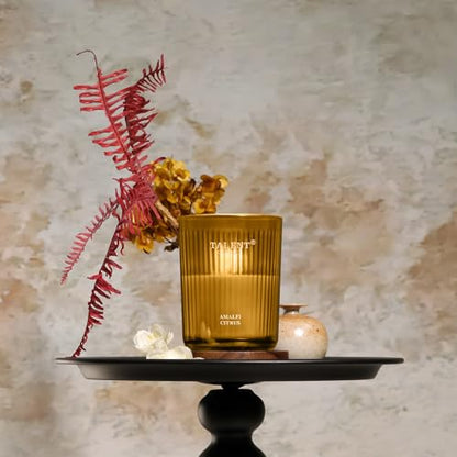Jar Candles for Home Scented | Aromatherapy Candles Gifts for Women & Men | Natural Soy Candle | 8.4oz Traditional Style | Amalfi Citrus - color: Amalfi Citrus