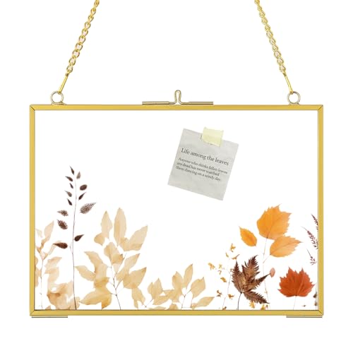 5x7 Gold Floating Frames for Pressed Flower, Double Glass Hanging Frame for Dried Flowers, Brass Picture Frame with Metal Chain for Wall Mount, Small Horizontal Clear Frame for Artwork Display, Home Decor - size: 7X5