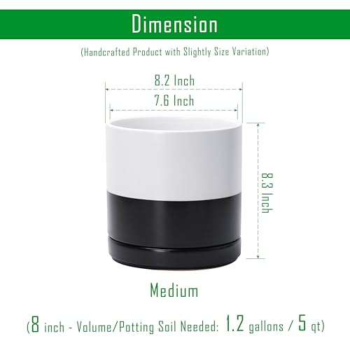 D'vine Dev 8.2 Inch Ceramic Planter Pot, Black White Two Tone, 94-O-D-L | Modern Cylinder Design, Drainage Hole & Saucer Included, Stable Structure, Elegant Home Accent - color: Layered Monochrome Black & White, size: Medium