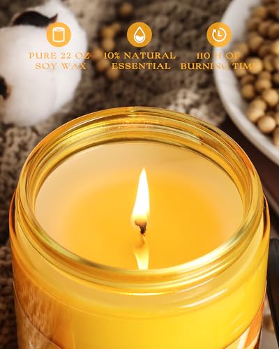 AOOVOO Citrus Lemon Odor Eliminating Candle - 22oz Soy Candles for Home | Eliminates 95% of Pet, Smoke, Food, and Other Smells Quickly, Non Toxic Air Freshing Candle, Up to 110 Hours Burn time - size: 22oz