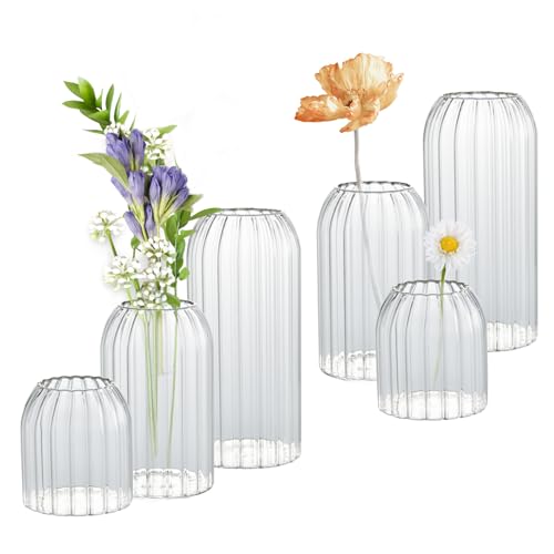 Bud Vases in Bulk Set of 6, Glass Small Vases for Flowers, Modern Cylinder Ribbed Vases for Wedding Centerpiece, Living Room Decorative, Home Decor