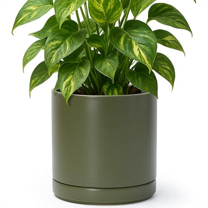 D'vine Dev 8.2 Inch Ceramic Planter Pot, Olive, 94-O-D-J | Modern Cylinder Design, Drainage Hole & Saucer Included, Stable Structure, Elegant Home Accent - color: Olive, size: Medium