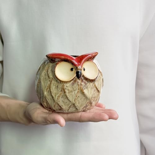 GeLive Owl Succulent Pot Ceramic Cactus Planter with Drainage Hole, Cute Small Plant Container for Desk Windowsill Tabletop Decor Pen Holder (No Plants) - size: 4.7" Small