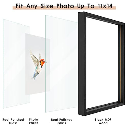 MUYE 11x14 Floating Frames Set of 2,Double Glass Picture Frame Display Any Size Photo up to 11x14,Wall Mount or Tabletop Standing,Black - color: Black, size: 11x14