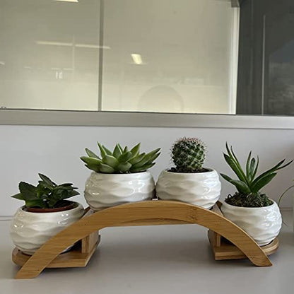 E-liu Eliu Cute Small Ceramic Succulent Pots and Stand Set, Pack of 4 | White Succulent Planter Pot with Drainage Fits Well In Windowsills, Office Indoor Decoration, Plants Not Included