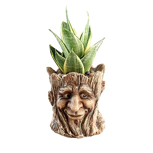 Funny Planter Head Face Plant Pot with Drainage Hole Resin Succulent Plant Holder Pencil Holder Desk Organizer Office Garden Gift (Smile Face)