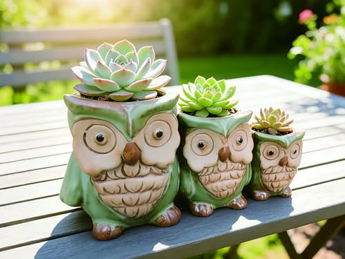 Cute Owl Planter, Small Funny Succulent Pots, Unique Decorative Animal Statue Ceramics Plant Pot for Indoor/Outdoor Home Office with Drainage, Owl Gifts for Women Mother Teacher, Three Owls