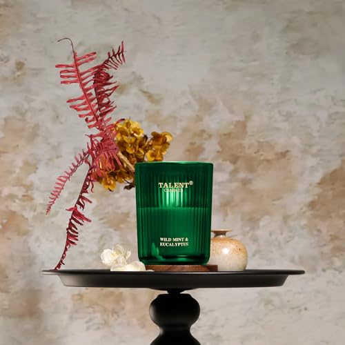 Jar Candles for Home Scented, Aromatherapy Candles Gifts for Women & Men, Natural Soy Candle, 8.4oz Traditional Style, Wild Mint & Eucalyptus - color: Wild Mint & Eucalyptus
