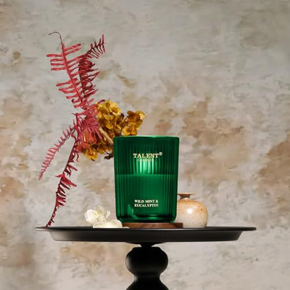 Jar Candles for Home Scented, Aromatherapy Candles Gifts for Women & Men, Natural Soy Candle, 8.4oz Traditional Style, Wild Mint & Eucalyptus - color: Wild Mint & Eucalyptus