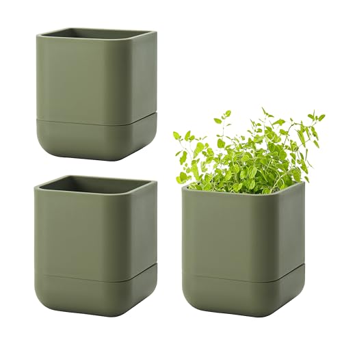 Phoenix Vine 3.5 Inch Wall Mounted Self-Watering Planter Pot for Indoor Houseplants and Herbs | Hanging Planter for Window Sills, Bathroom Walls, Home & Office Décor, Olive, Set of 3, 01-A-F-3 - color: Olive, size: 3.5" (3 Pack)