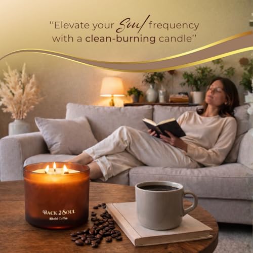 Wild Lavender Scented Candle for Home, Aromatherapy Soy Wax Candle, 3 Wooden Wicks, Long Lasting 50 Hour Burn, Home Fragrance Jar Candle, Gift for Women and Men, 13.4 Oz