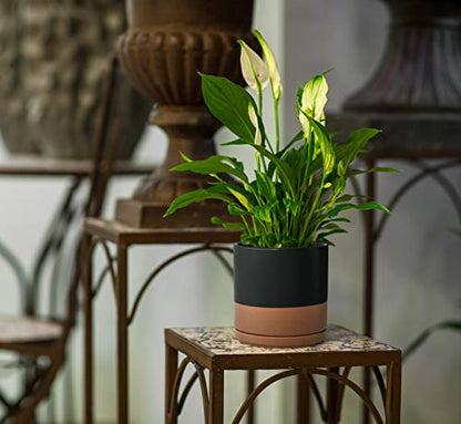 D'vine Dev 8 Inch Ceramic Planter Pot, Black/Tan, 94-O-D-7 | Modern Cylinder Design, Drainage Hole & Saucer Included, Stable Structure, Elegant Home Accent - color: Black/Speckled Tan, size: Medium