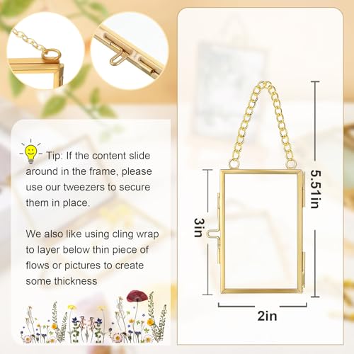 4 Pcs Pressed Flower Frame with Tweezers, Wall Hanging Tabletop Display Double Glass Frames with Metal Chain for Pressed Dried Flowers Plants, Horizontal and Vertical Picture Frame, Gold, FRAMES ONLY - color: Gold-4