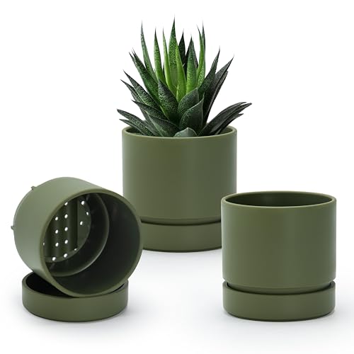 Phoenix Vine 4 Inch Planter Pot with Drainage Hole & Saucer, Deep Water Catch Tray, Straight Cylindrical Round Pot for Plants, Olive, Pack of 3, 23-D-R-3 - color: Olive, size: 4" (3 Pack)