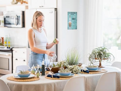 Set of 2 Stunning Hanging Glass Terrariums with Flat Bottoms - Wholesale and Bulk - Succulents - Live Tillandsia - Easy Care Indoor and Outdoor House Plants