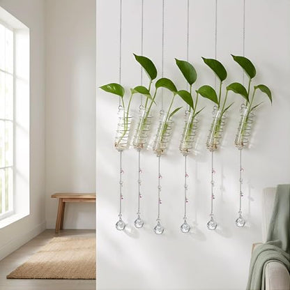 6Pcs Hanging Plant Propagation Station with Crystal Ball Prisms Suncatcher | Window Hanging Propagation Station and Cleaning Brush, Glass Plant Suncatcher for Indoor Wall Gifts for Plants Lovers(Silver) - color: Silver
