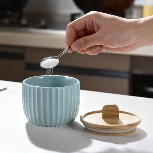 Salt Cellar Keeper with Bamboo Lid, 14oz Big Capacity Ceramic Sugar Bowls Pepper Box, Crackle Glaze Seasoning Container Condiment Pot for Kitchen (Cyan Color) - color: Cyan