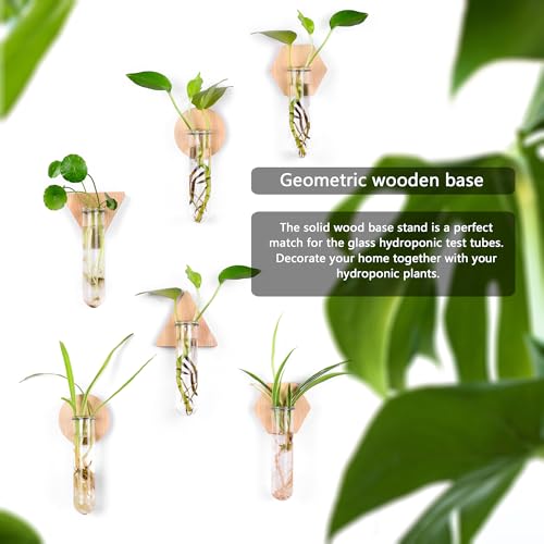 Wall Hanging Glass Planter Plant Propagation Station | Test Tube Vase, Wall Mounted Self-Adhesive Wooden Hydroponic Planter, for Home Office Wall Decor