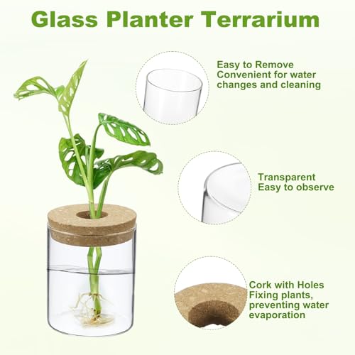 M METERXITY 1 Pack Glass Planter Terrarium with Wooden Cover, Desktop Plant Propagation Station Clear Vase for Hydroponic Plants Propagation/Home Garden Decor/Plant Lover [3.35'' x 3.94''] - size: 3.35'' x 3.94''