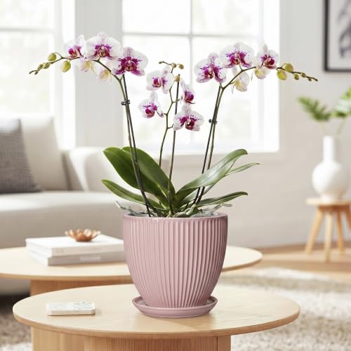 6 Inch Flower Pots, Ceramic Pots for Plants Indoor, Modern Plant Pot with Drainage Hole and Saucer, Decorative Small Round Succulent Planter, Living Room Office Decor, Women Men Gifts, Pink - size: 6 Inch, style: Pink