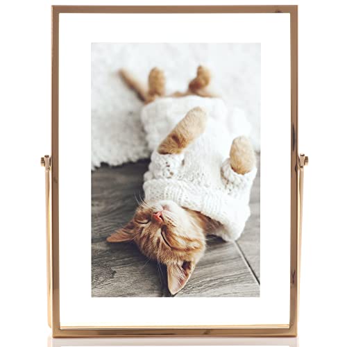 Lawrence Frames Metal Easel Float Picture Frame, 4x6, Gold - color: Gold, size: 4x6