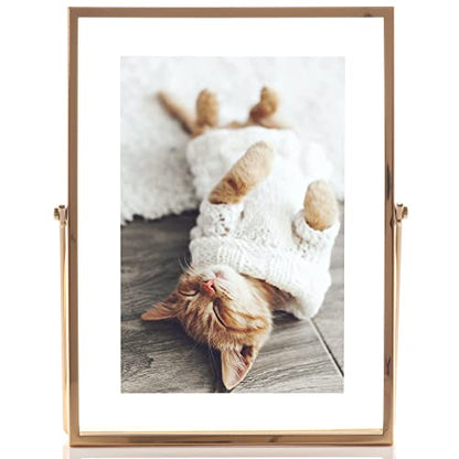 Lawrence Frames Metal Easel Float Picture Frame, 4x6, Gold - color: Gold, size: 4x6
