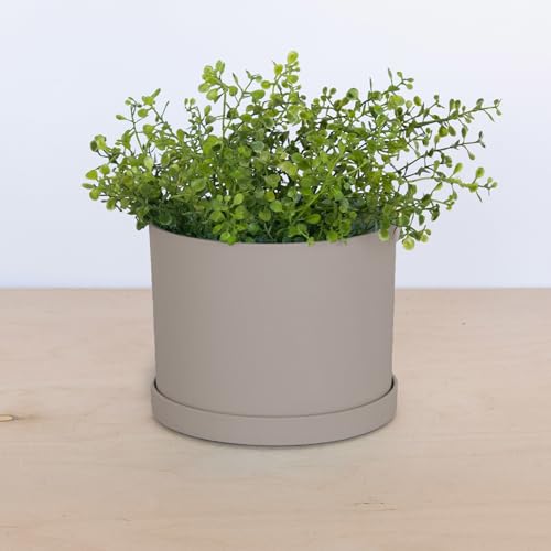 Bloem Mathers Planter w/Saucer Tray 8" Pebble Stone Beige - color: Pebble Stone, size: 8"