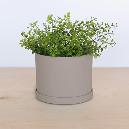 Bloem Mathers Planter w/Saucer Tray 8" Pebble Stone Beige - color: Pebble Stone, size: 8"